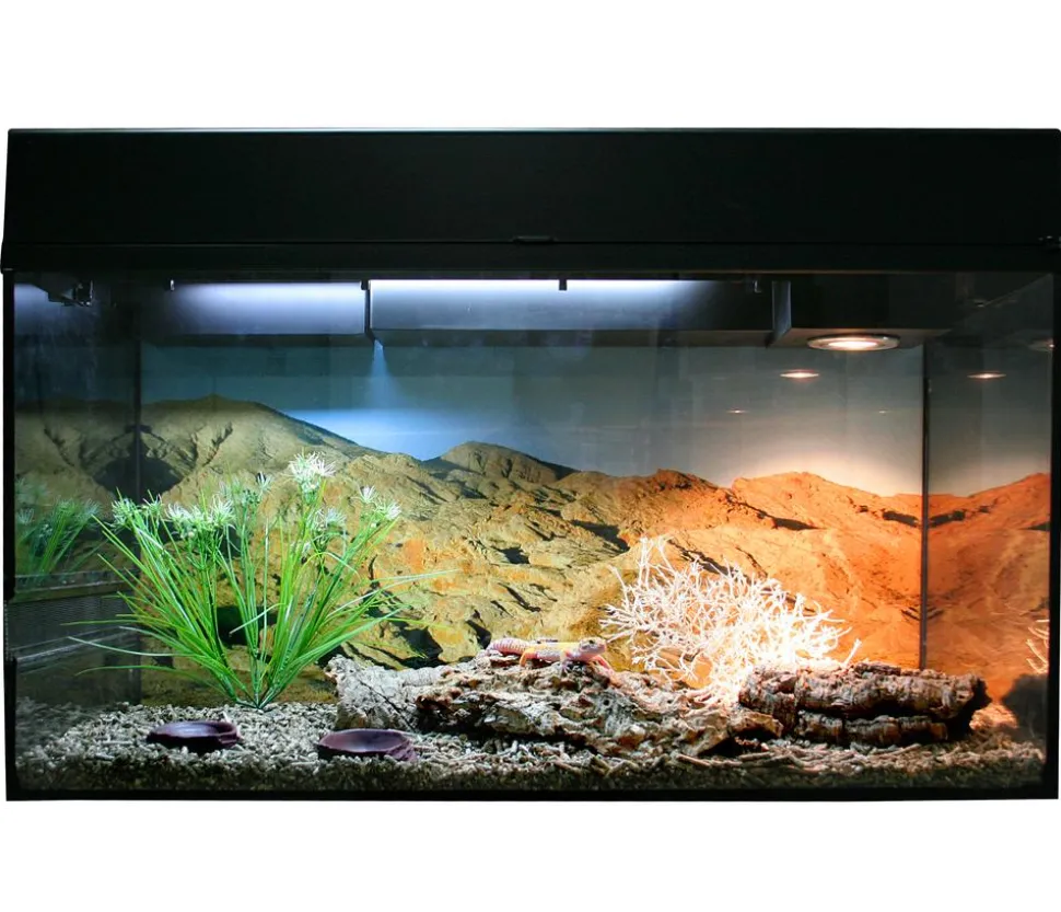 Lucky Reptile Starter Kit Komplettset Leopardgecko, ca. B80/H52/T40 cm