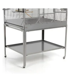 Montana Vogelvoliere Madeira III, Platinum