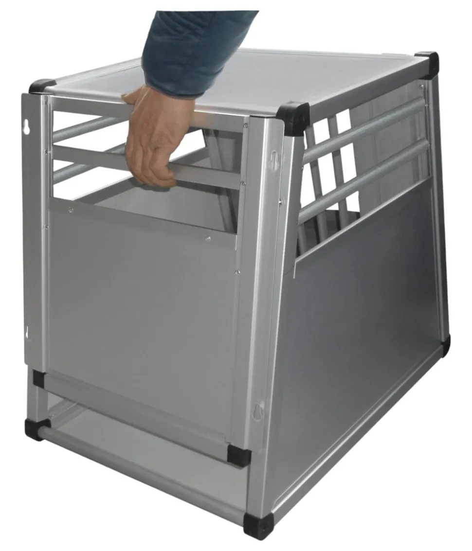 Nobby Aluminium-Autotransportbox New Design, silber
