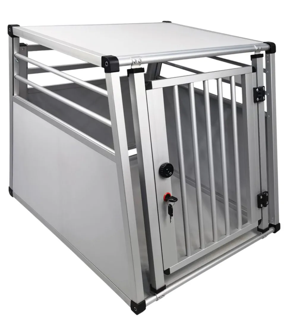 Nobby Aluminium-Autotransportbox New Design, silber