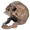 Nobby Aquariumdeko Totenkopf, ca. B20/H16,5/T13,5 cm