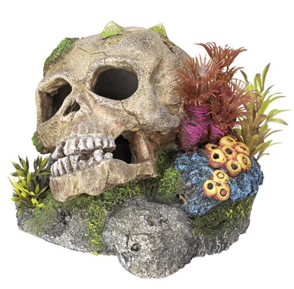 Nobby Aquariumdeko Totenkopf mit Pflanzen, ca. B13,5/H10,5/T13,5 cm