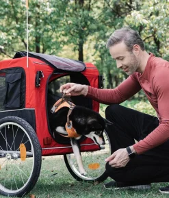 Nobby Fahrradanhänger Senlima
