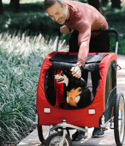 Nobby Fahrradanhänger Senlima