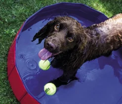 Nobby Hundepool, rund, rot/blau ca. Ø120/H30 cm