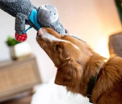 Nobby Hundespielzeug Plüschesel