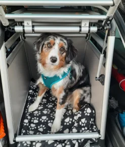 Nobby Hundetransportbox Round Corner