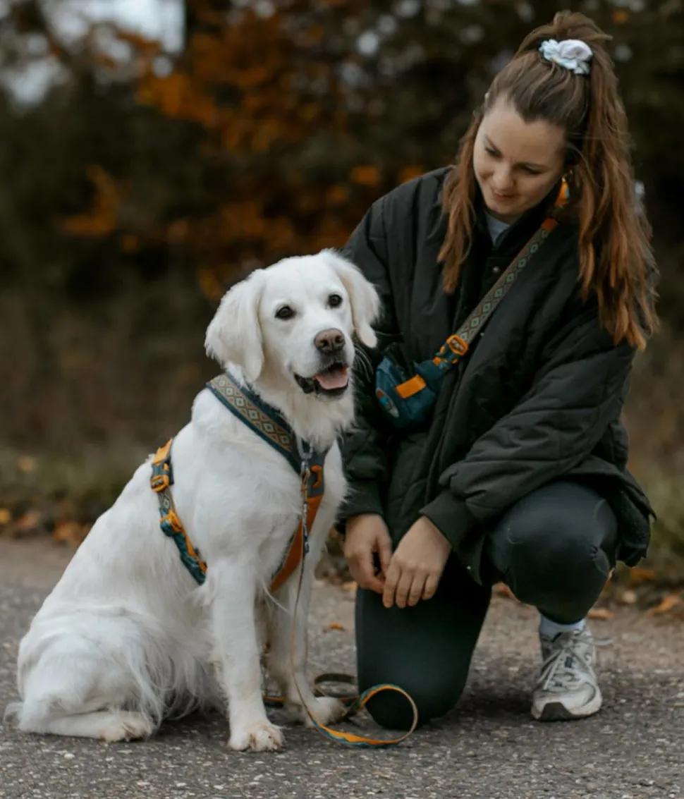 Non-stop dogwear Hundeleine Trail Quest Rachel Pohl Signature Edition, teal/oak, 2 m