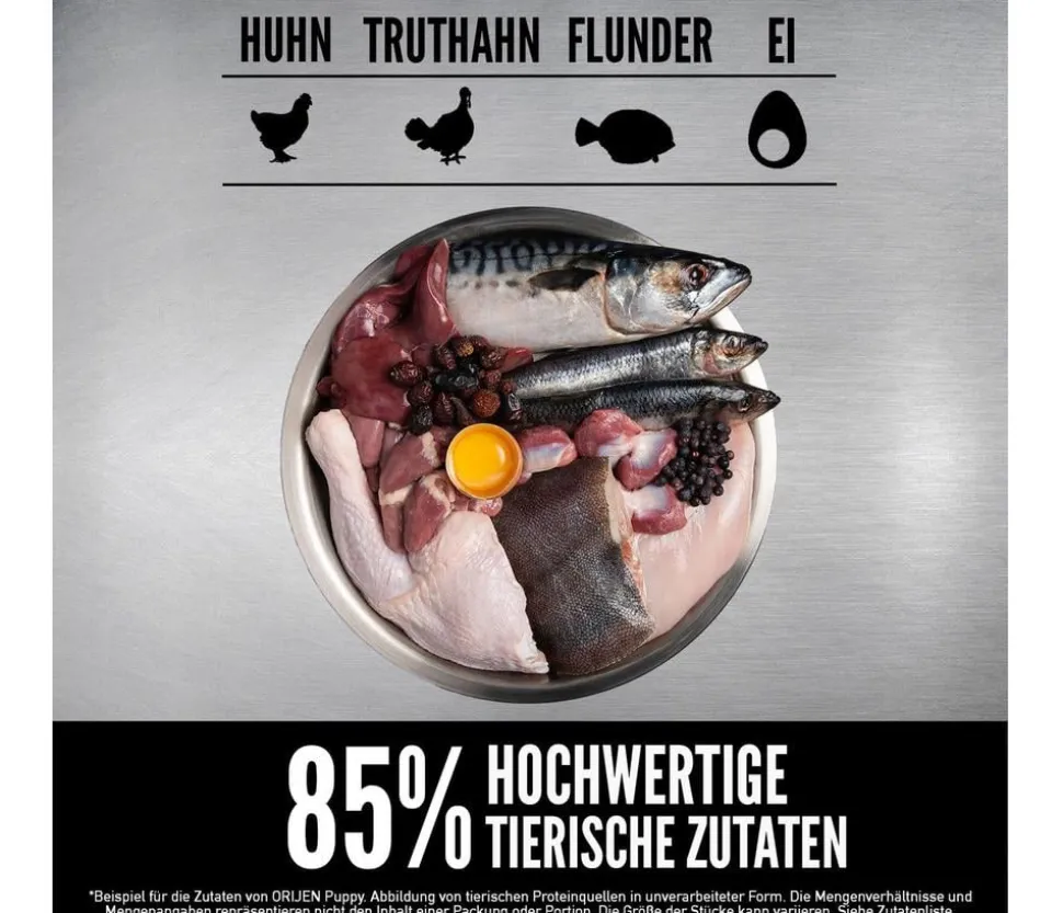 ORIJEN™ Trockenfutter für Hunde Puppy