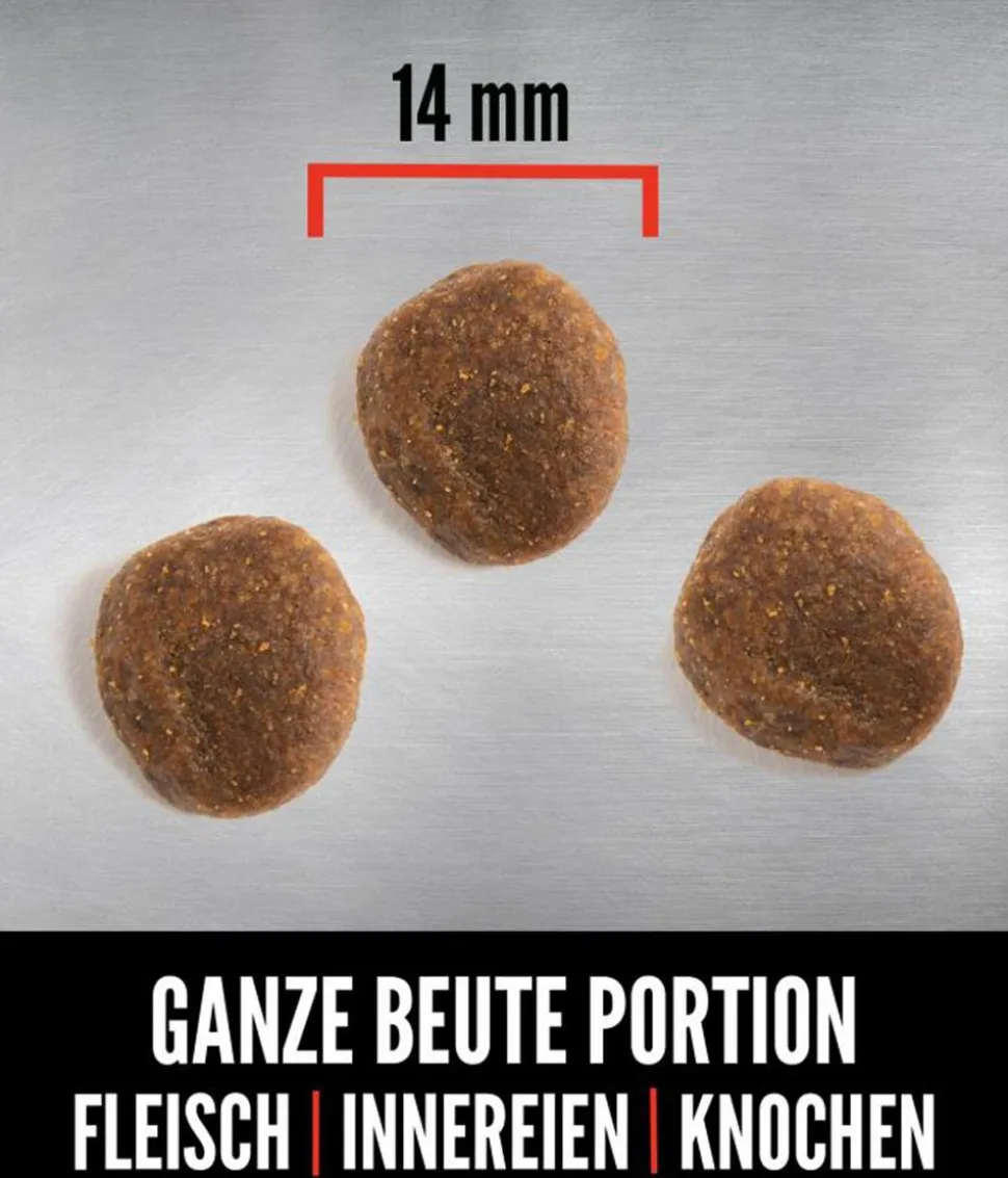 ORIJEN™ Trockenfutter für Hunde Senior