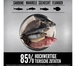 ORIJEN™ Trockenfutter für Hunde Senior