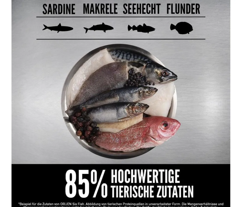 ORIJEN™ Trockenfutter für Hunde Senior