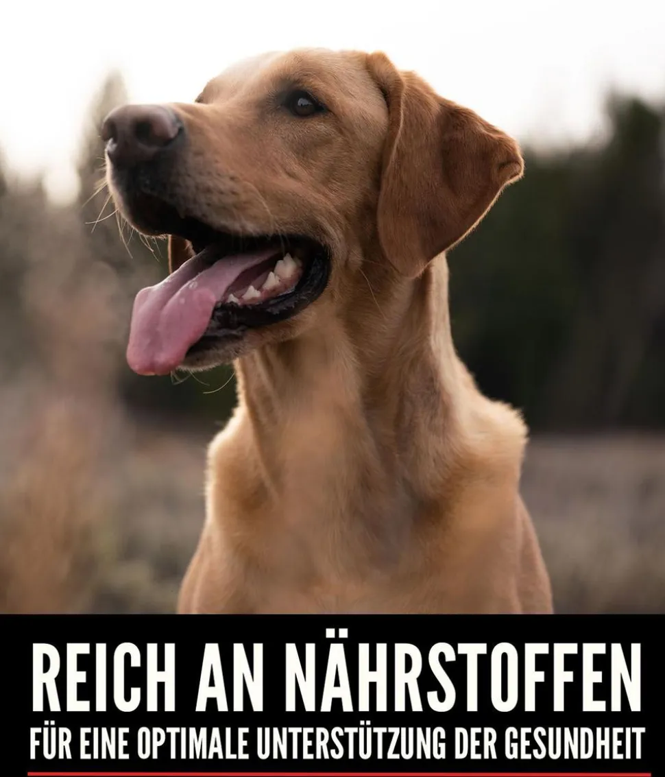 ORIJEN™ Trockenfutter für Hunde Senior