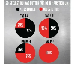 ORIJEN™ Trockenfutter für Katzen Kitten