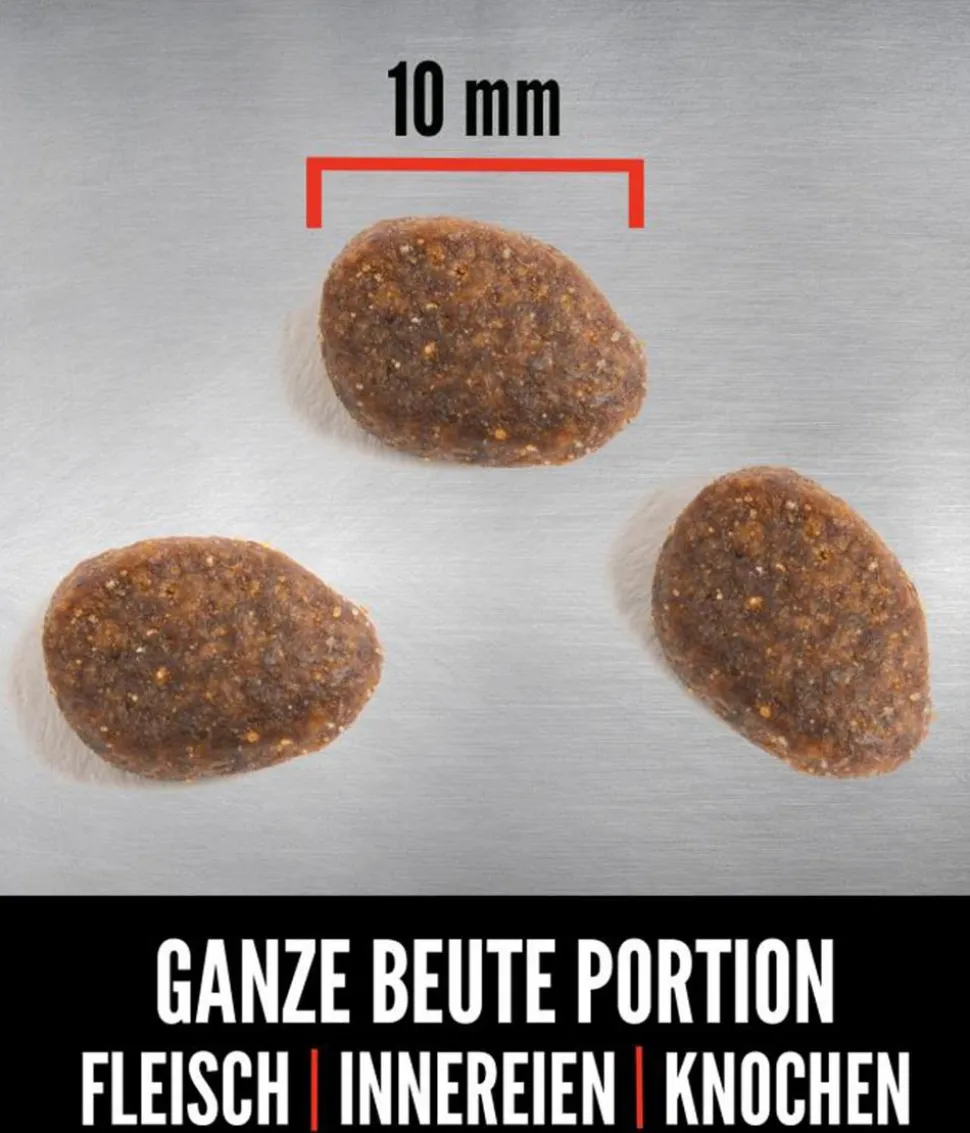 ORIJEN™ Trockenfutter für Katzen Six Fish