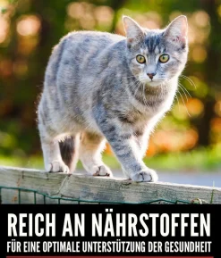 ORIJEN™ Trockenfutter für Katzen Tundra