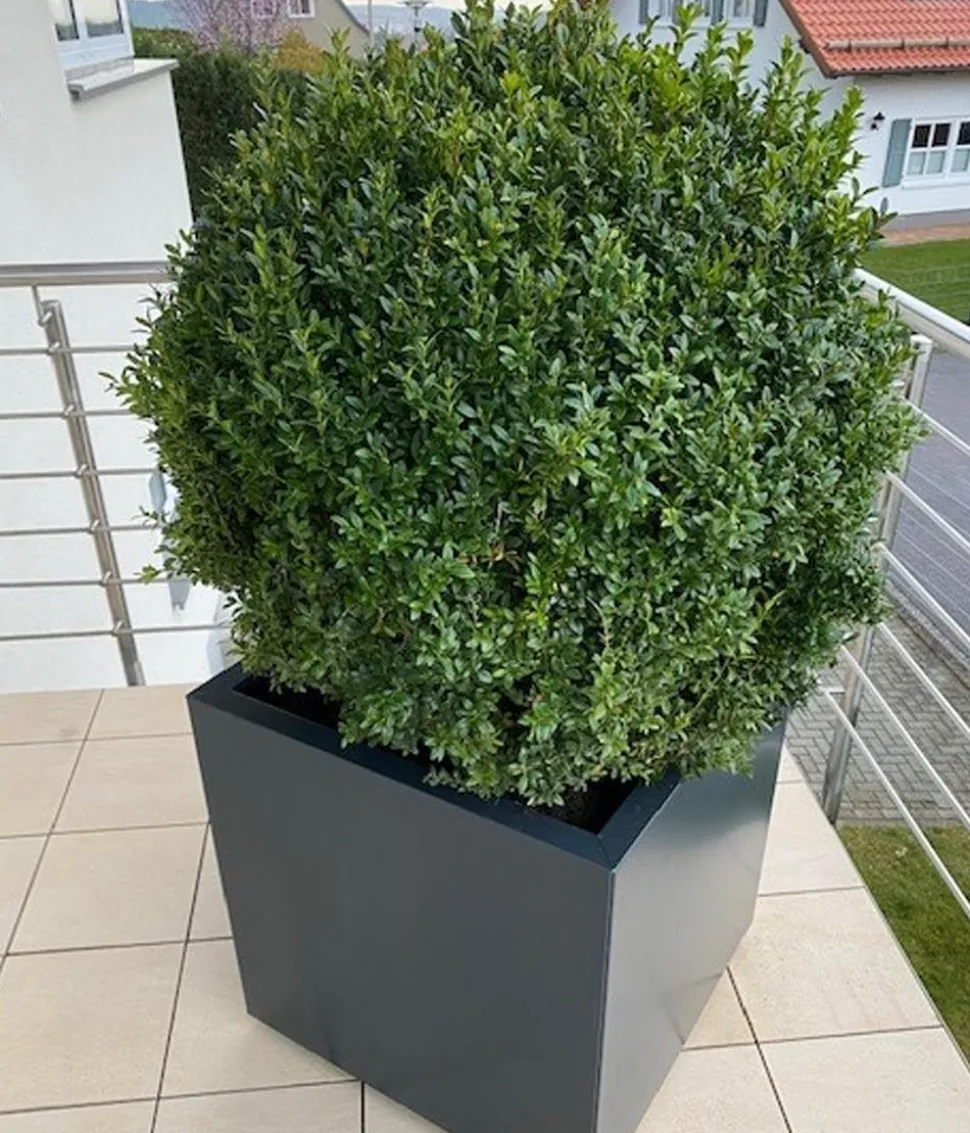 Palatino Metall-Pflanzgefäß Nora, quadratisch, anthrazit
