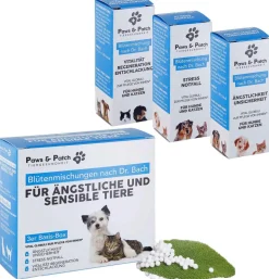 PAWS & PATCH Blütenmischung 3er Basis-Box Ängstliche & sensible Tiere, 3 x 10 g
