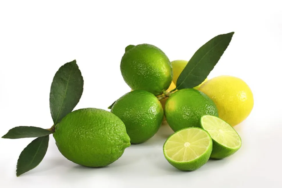 Persische Limette 'Lima Verde'