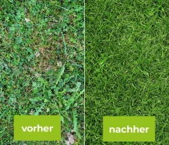 PROTECT GARDEN Loredo® Quattro Universal-Rasenunkrautfrei