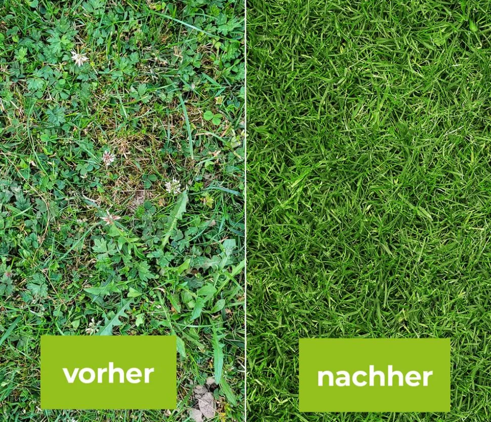 PROTECT GARDEN Loredo® Quattro Universal-Rasenunkrautfrei