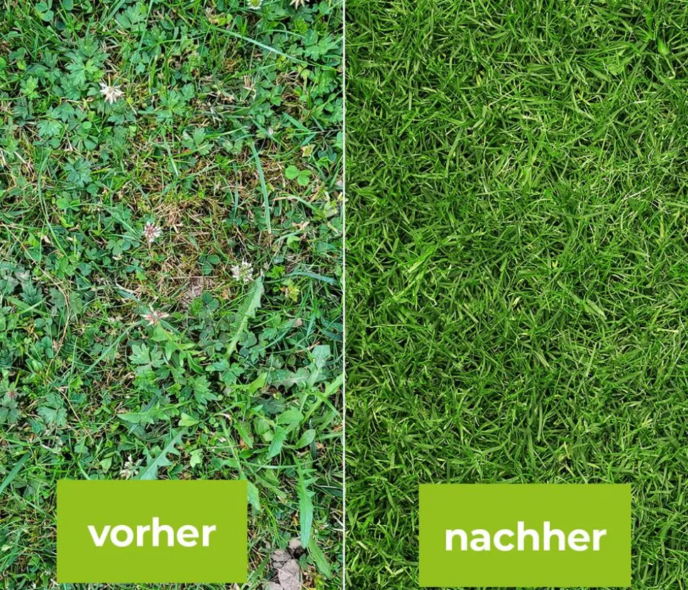 PROTECT GARDEN Loredo® Quattro Universal-Rasenunkrautfrei
