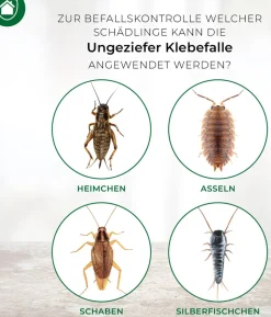 PROTECT HOME Ungeziefer Klebefalle zur Befallsermittlung, 4 Stk.