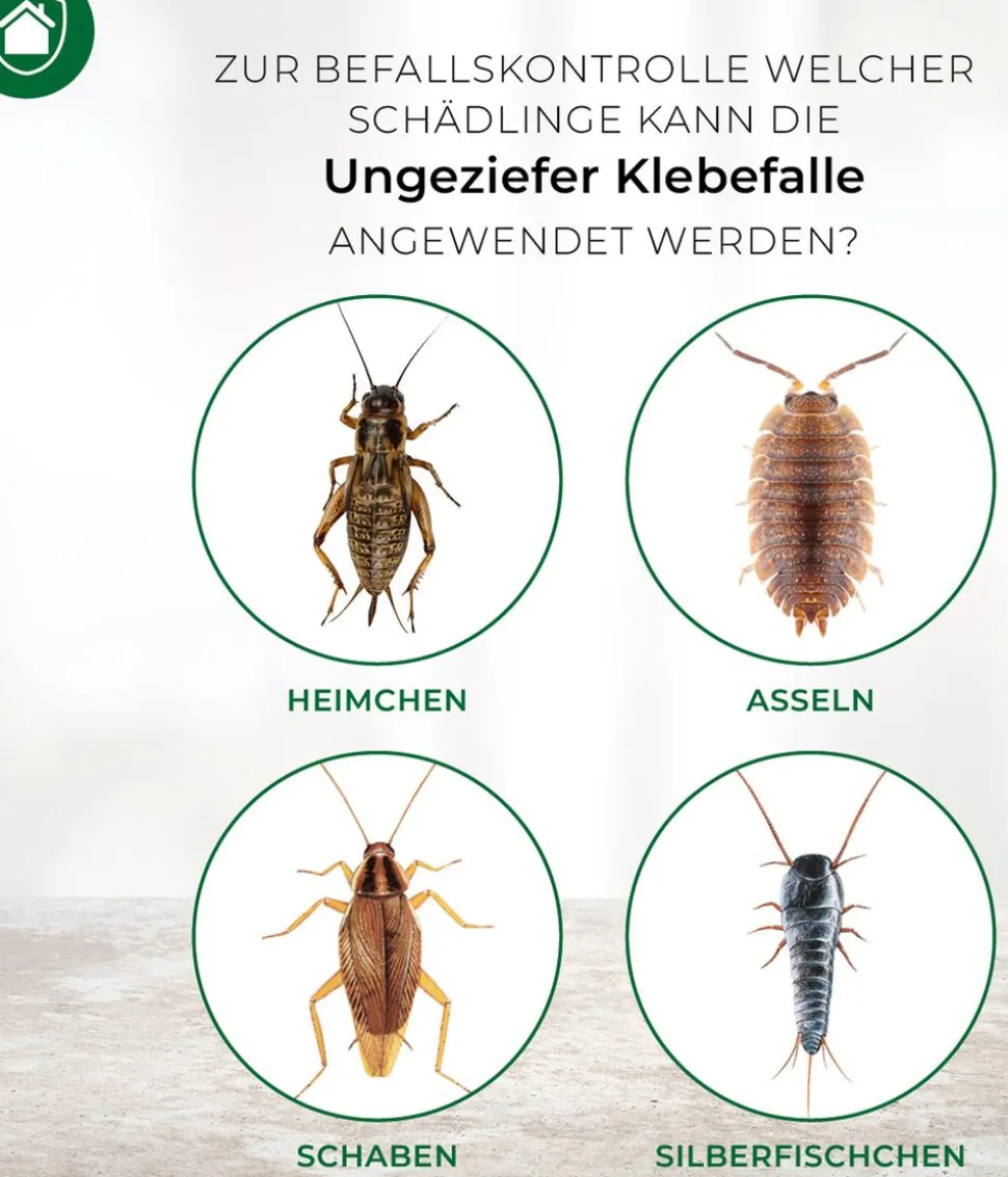PROTECT HOME Ungeziefer Klebefalle zur Befallsermittlung, 4 Stk.
