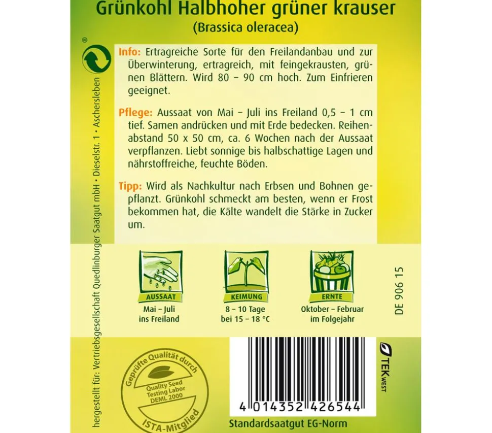 Quedlinburger Samen Grünkohl 'Halbhoher Grüner Krauser'