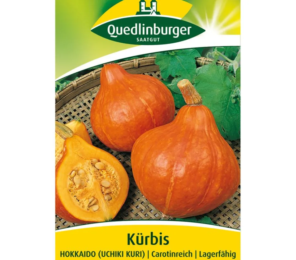 Quedlinburger Samen Kürbis 'Hokkaido'