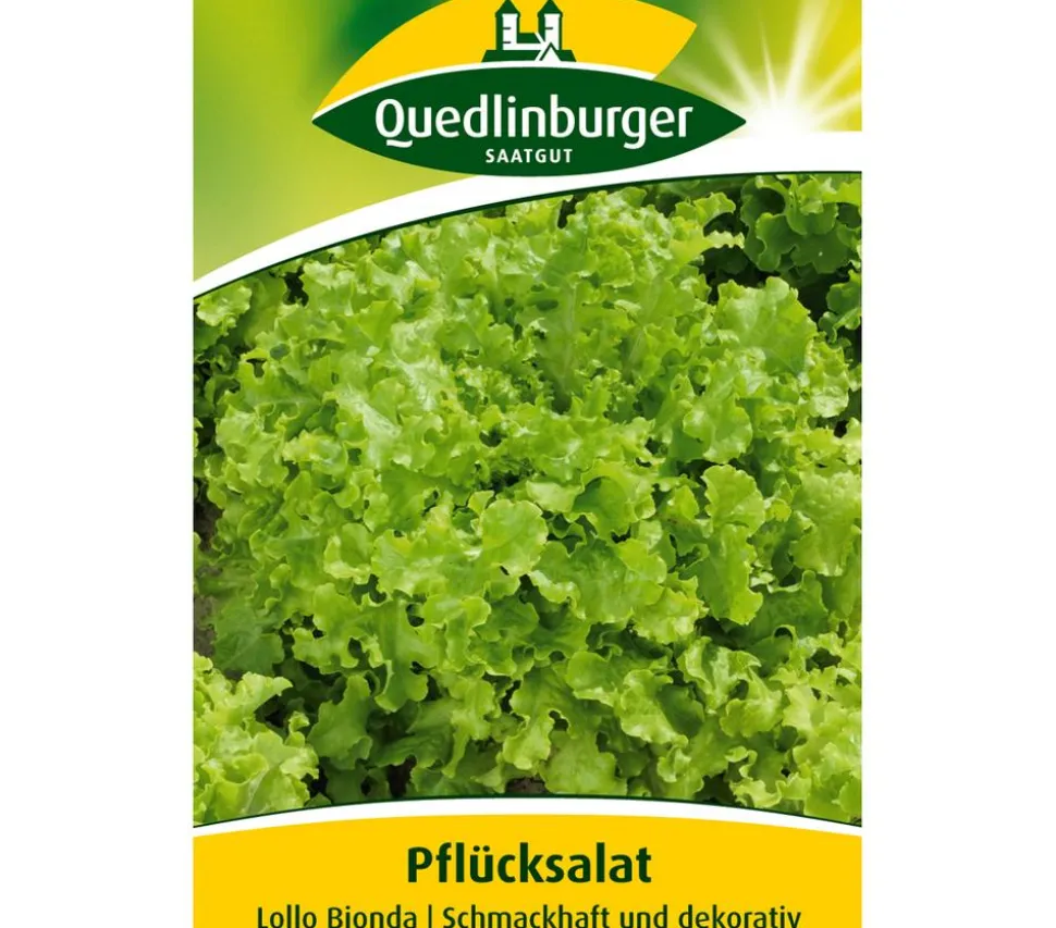 Quedlinburger Samen Plücksalat 'Lollo Bionda'