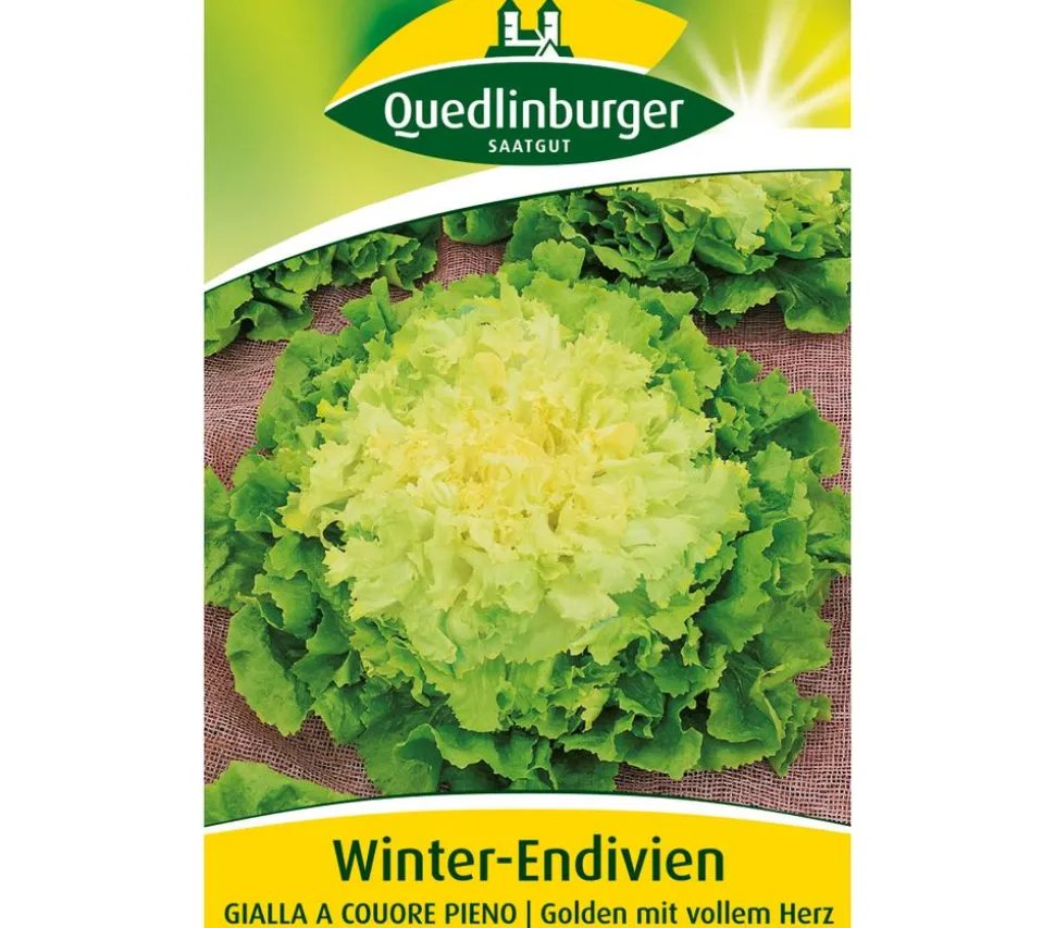 Quedlinburger Samen Winter-Endivien 'Gialla A Couore Pieno'