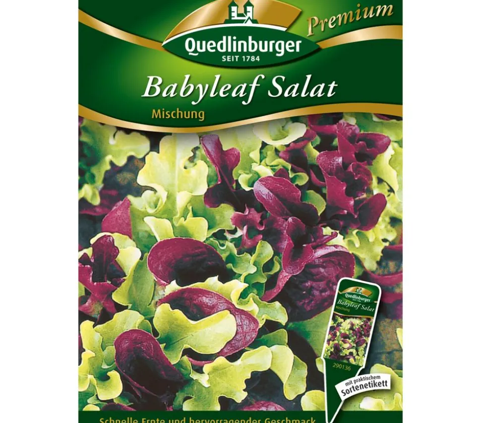 Quedlingburger Samen Salat 'Babyleaf'