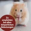 Quiko® Ergänzungsfutter für Nager Multivitaminsaft Vitacombex® Na