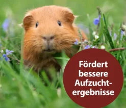 Quiko® Ergänzungsfutter für Nager Multivitaminsaft Vitacombex® Na