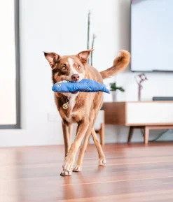 Red Dingo Hundespielzeug DURABLES Toys Hai