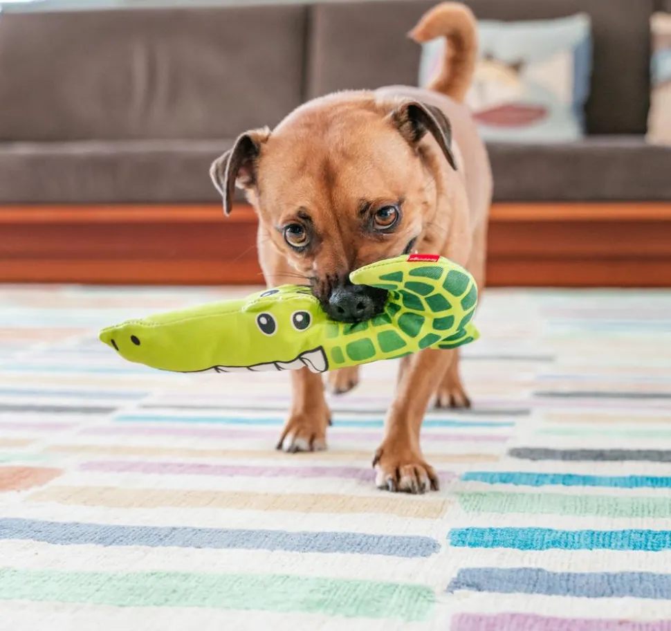 Red Dingo Hundespielzeug DURABLES Toys Krokodil