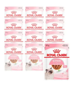 ROYAL CANIN® Nassfutter für Katzen Kitten in Soße, 12 x 85 g