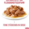 ROYAL CANIN® Nassfutter für Katzen Digestive Care in Soße, 12 x 85 g