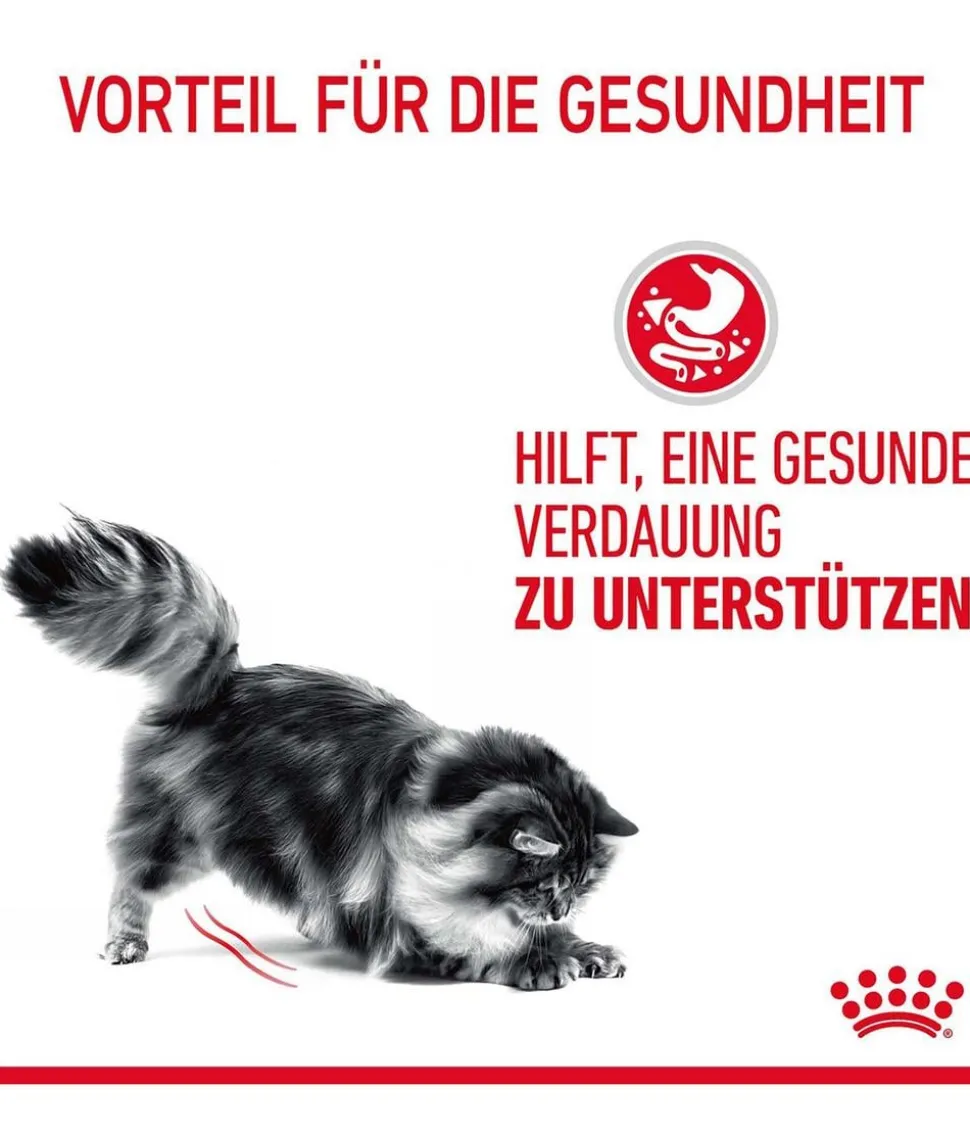 ROYAL CANIN® Nassfutter für Katzen Digestive Care in Soße, 12 x 85 g