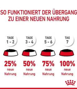 ROYAL CANIN® Nassfutter für Katzen Digestive Care in Soße, 12 x 85 g