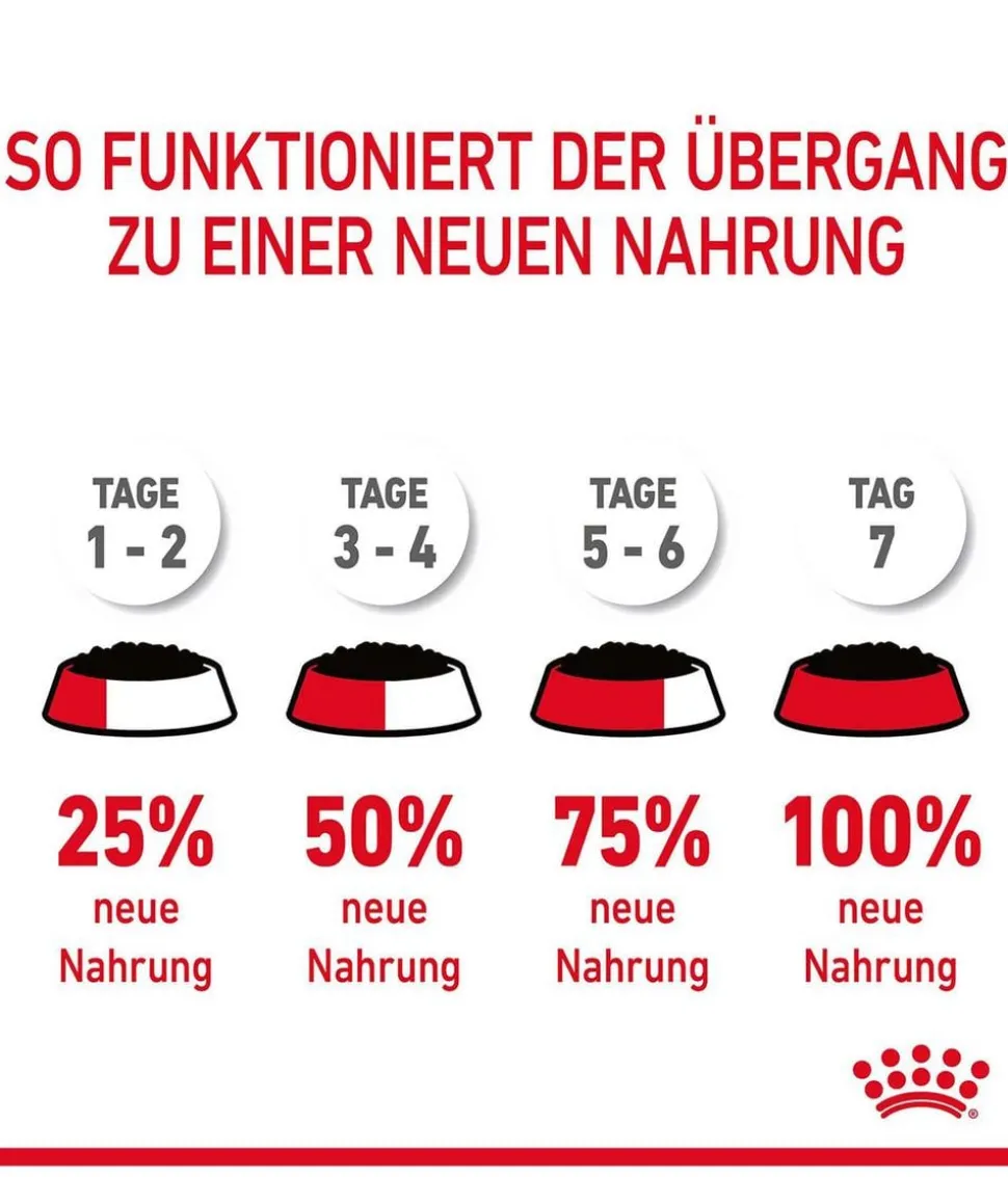 ROYAL CANIN® Nassfutter für Katzen Digestive Care in Soße, 12 x 85 g