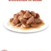 ROYAL CANIN® Nassfutter für Katzen Sterilised in Soße, 12 x 85 g