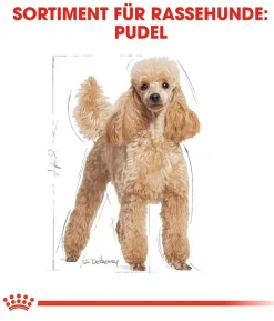 ROYAL CANIN® Trockenfutter für Hunde Poodle Adult