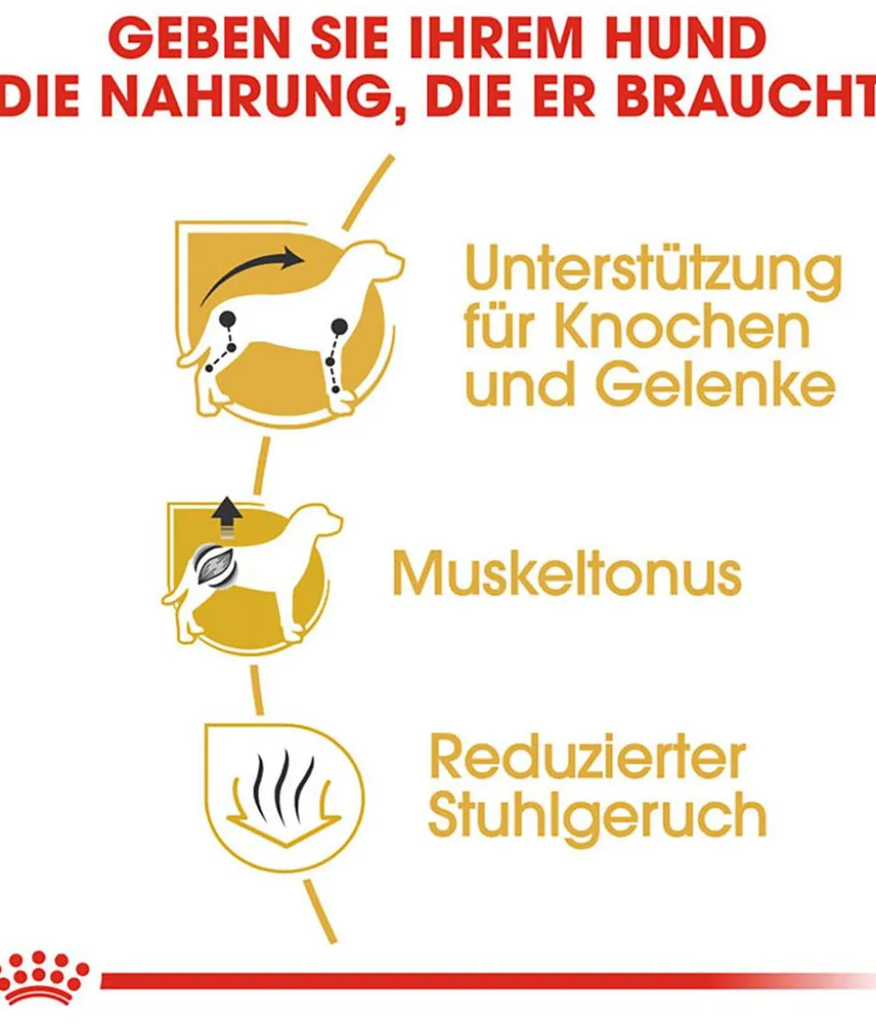 ROYAL CANIN® Trockenfutter für Hunde Dachshund Adult
