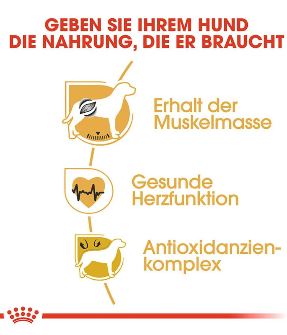 ROYAL CANIN® Trockenfutter für Hunde Boxer 26 Adult