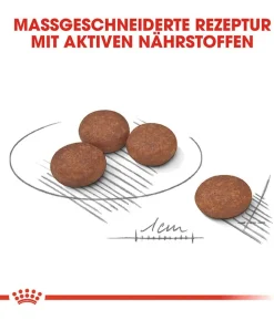 ROYAL CANIN® Trockenfutter für Hunde Digestive Care Mini