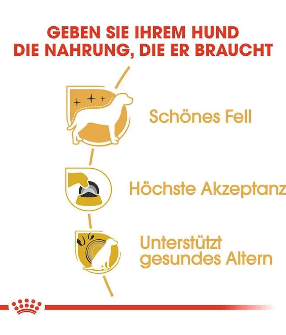 ROYAL CANIN® Trockenfutter für Hunde Yorkshire Terrier Adult