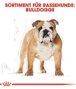 ROYAL CANIN® Trockenfutter für Hunde Bulldog