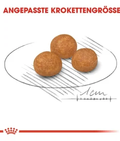 ROYAL CANIN® Trockenfutter für Hunde Exigent Mini
